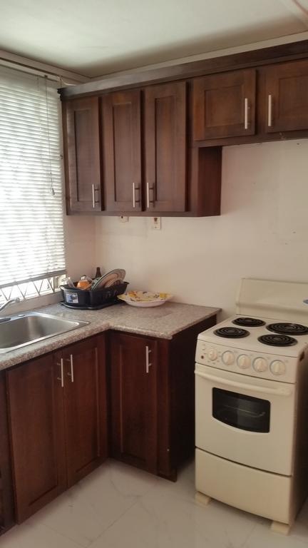 Malia'S New Kgn Apartment キングストン エクステリア 写真